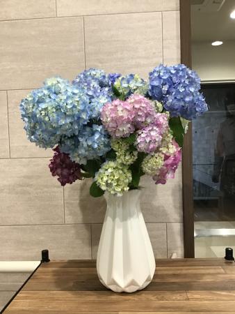 「今月の花」～癒しのさいたま浦和館グループホーム・癒しのデイサービス浦和