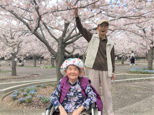 桜満開!! お花見 ～ シニア町内会癒しのまくはり館