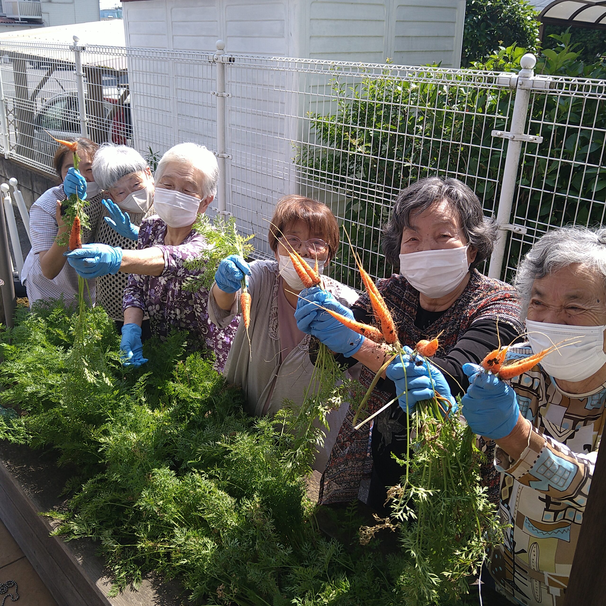 野菜収穫イベント（人参） ～癒しのデイサービス千葉中央