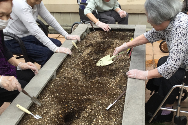 チューリップの芽  ～コンシェール阿倍野