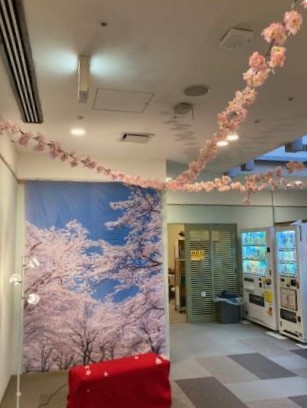 桜咲く🌸 ～癒しの高槻館